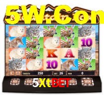 5Xtbet: Seu Cassino Premiado com Pagamentos Rápidos